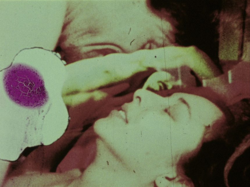 f70ea714-3ef0-4781-88f0-59cbed0caf80 Ricordi d’amore – Chantal Akerman e Carolee Schneemann ad Archivio Aperto 2024