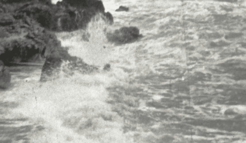 Screenshot 2025-10-24 alle 10.56.05 Meet the Docs! Forlì film fest – Corpi dissidenti